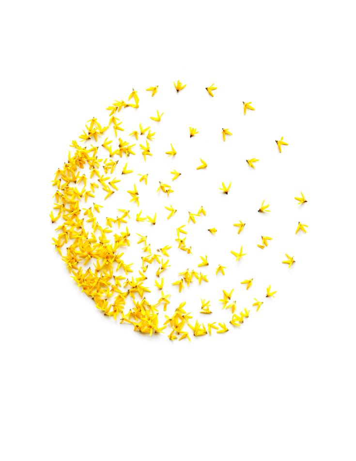 shiatsu-réflexologies